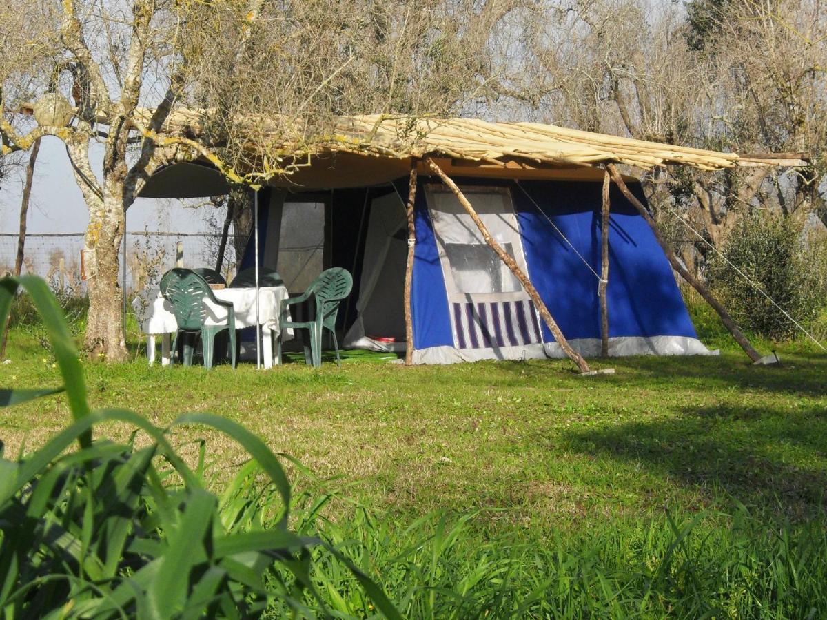Отель Camping Terreno-Ro-Bi-Li Кутрофьяно Экстерьер фото